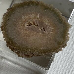 Stalactite Slice Polished Crystal Display Specimen Las Torres Mine Uruguay 1.4"